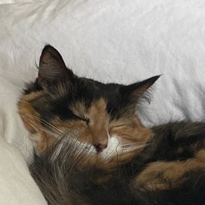 Meet your Posher, Alicja